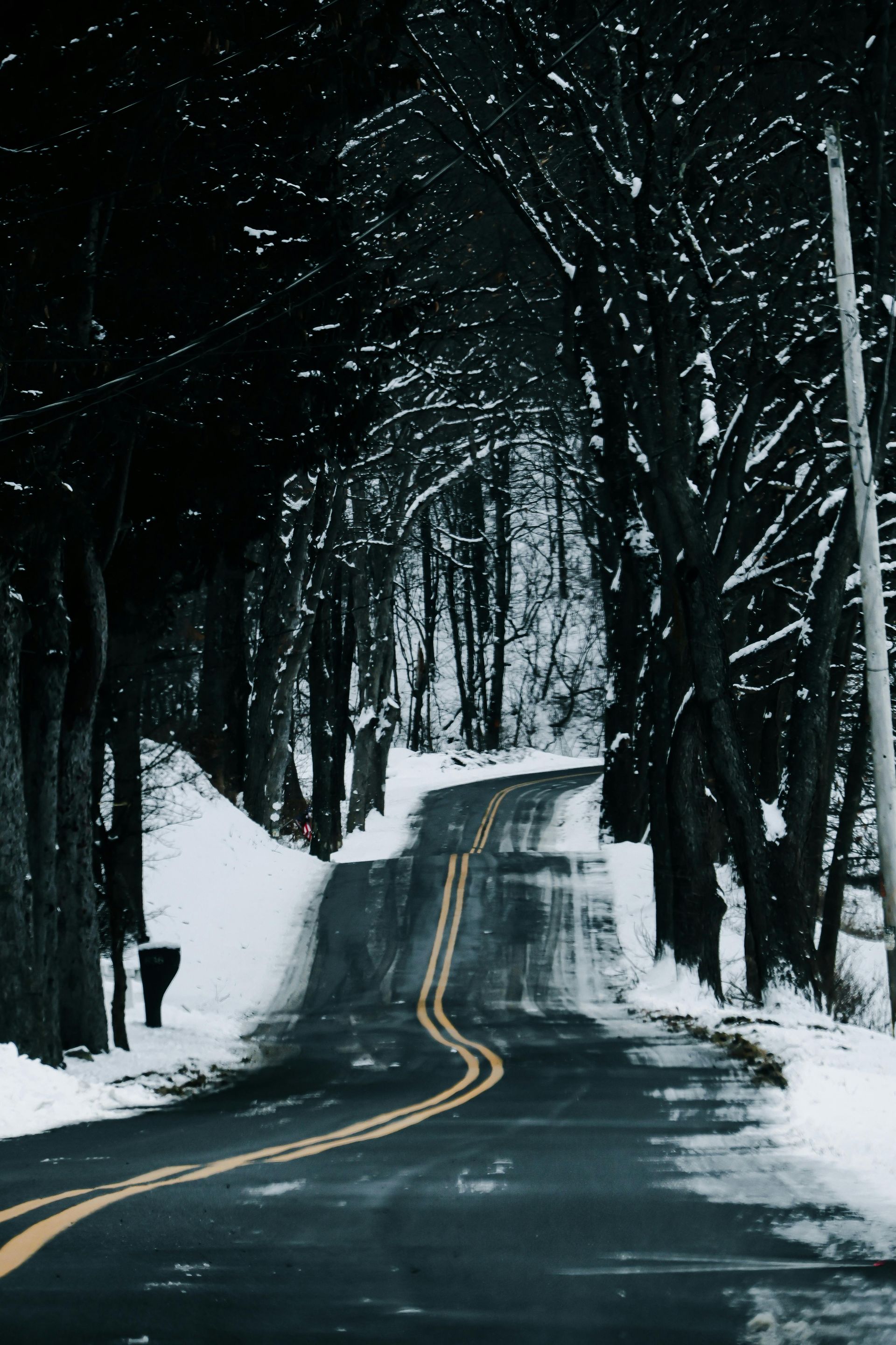 Snowy road curving through trees, double yellow lines, winter scene.