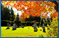 To get experienced funeral advice in Newton Stewart call 01988 616 298 Monumental Masonry