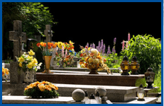 If you need professional funeral advice in Newton Stewart call 01988 616 298 Funeral Advice