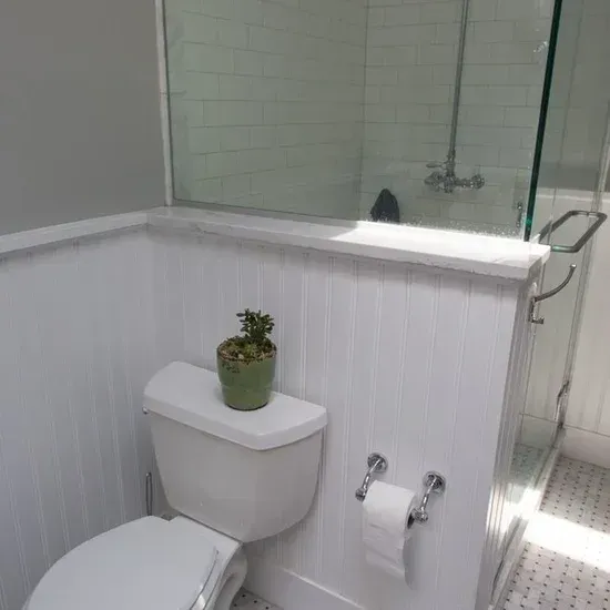A bathroom with a toilet and a plant on the toilet. James McCoy Remodeling Services Serving 19072,19003,19118,19444,19095 and surrounding areas