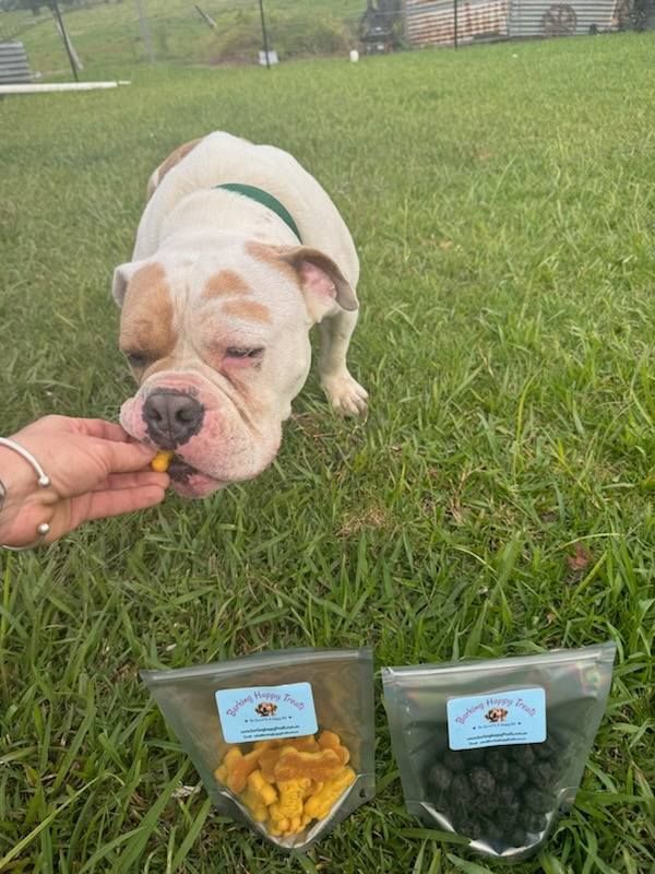 A Dog Is Eating A Treat From A Person 's Hand — Barking Happy Treats In Collombatti, NSW