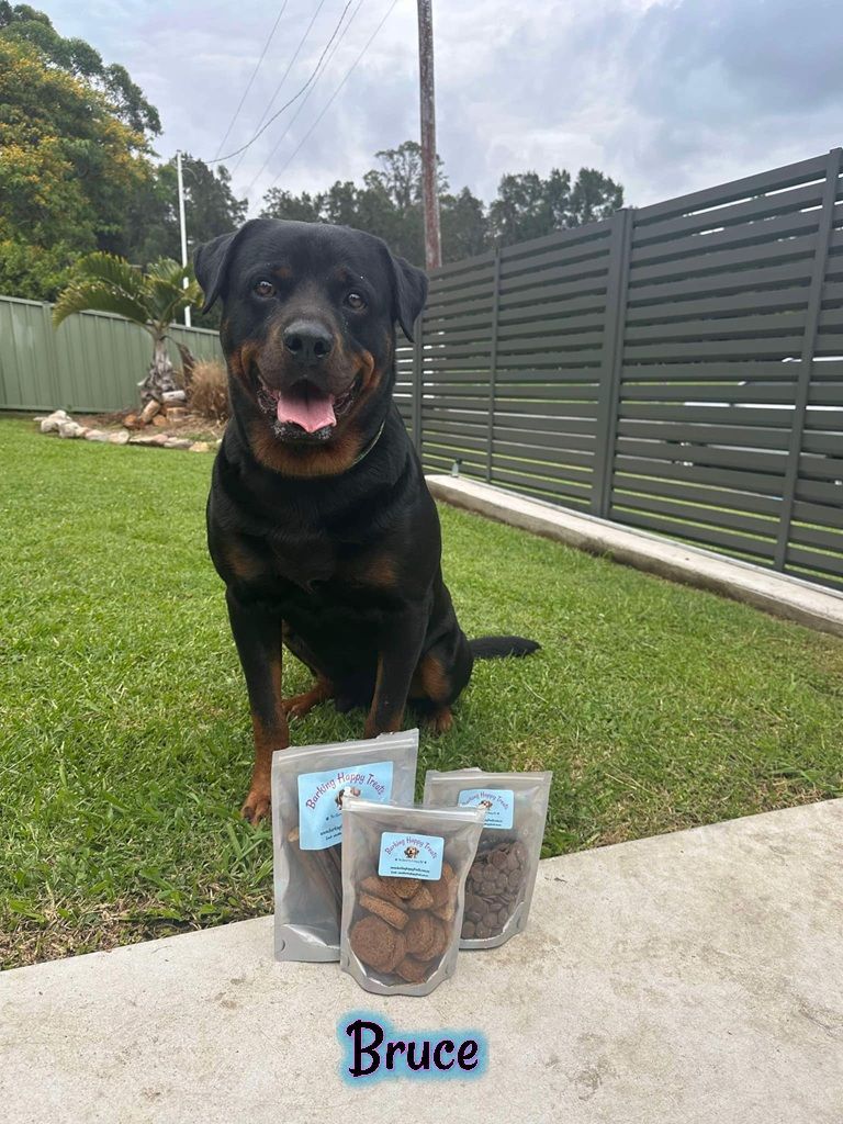 Rottweiler named Bruce sits near treats on grass, smiles, outdoors. — Barking Happy Treats In Collombatti, NSW