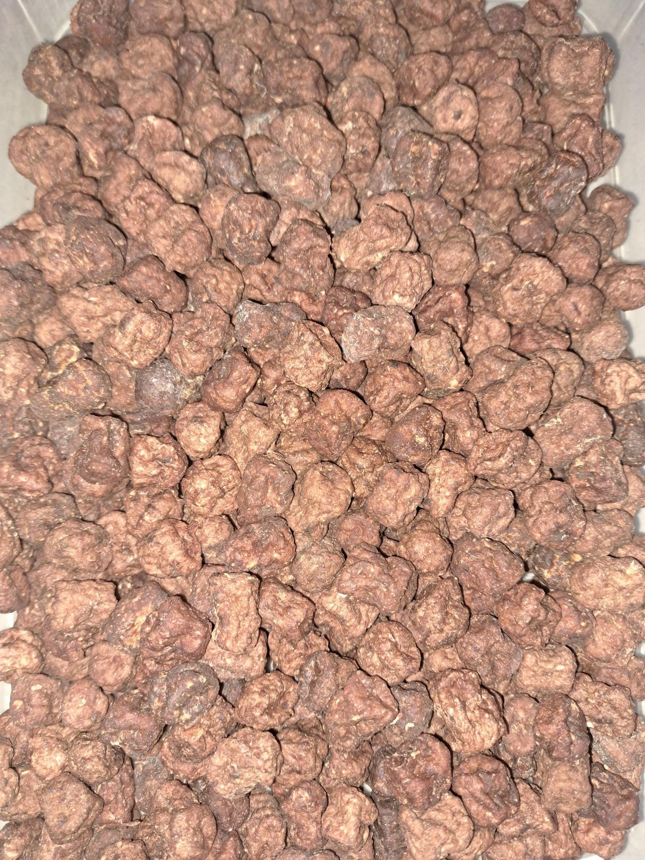 A Glass Display Case Filled With A Variety Of Snacks — Barking Happy Treats In Collombatti, NSW