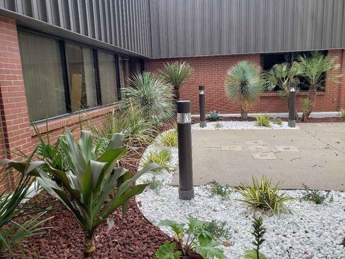 Landscaping Dallas, TX Texas Palm Trees and Irrigation LLC