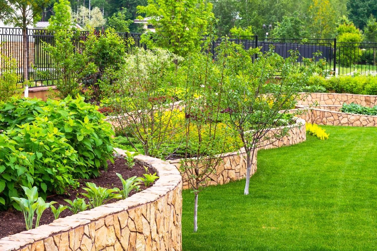 Recently mowed lawn with raised flower beds and recently planted trees near Versailles, KY