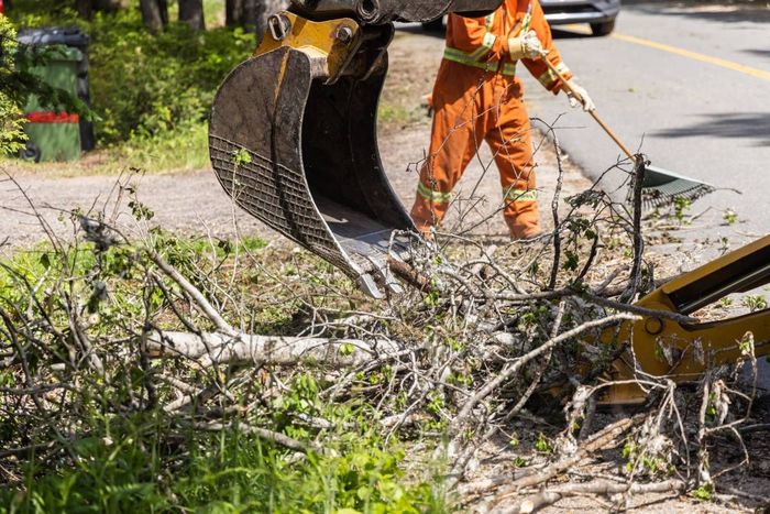 Closeup of an excavator clearing tree branches and debris after a storm near Versailles, KY