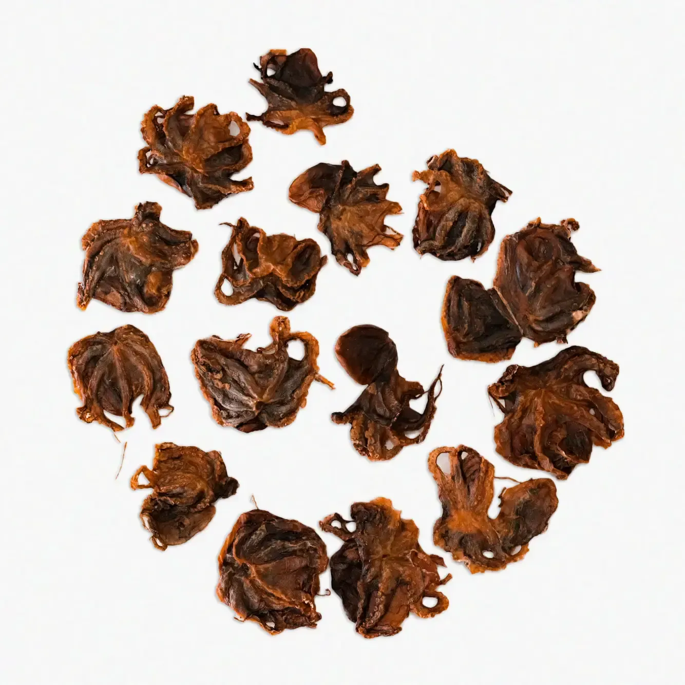 Dehydrated Wild Baby Octopus 1 piece