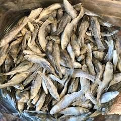 Freeze-Dried Minnows Protein-Packed Dog Treats