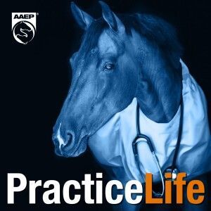 Horse wearing a medical coat and stethoscope, with 