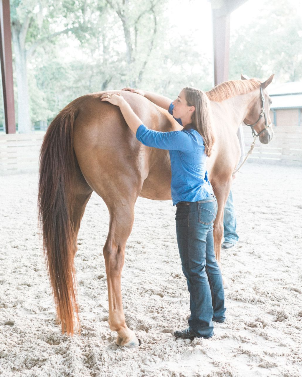 Woman petting a brown horse in an outdoor riding arena.