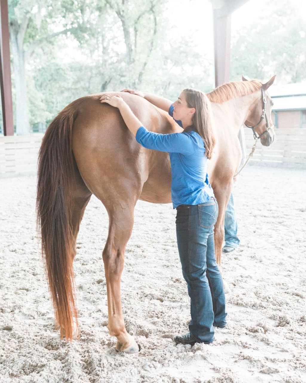 Woman petting a brown horse in an outdoor riding arena.