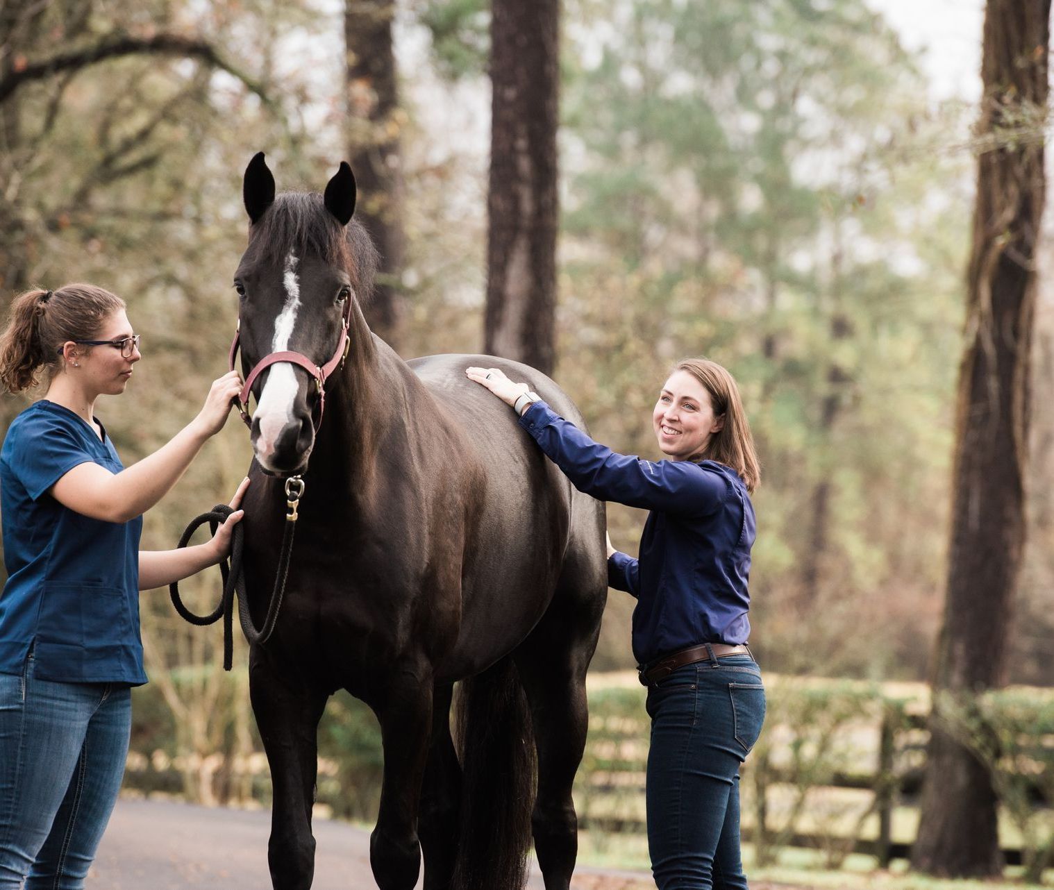 Two women petting a dark horse outside on a road, trees in the background.