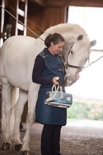 A veterinarian in protective gear smiles at a white horse while holding an X-ray machine in a barn.