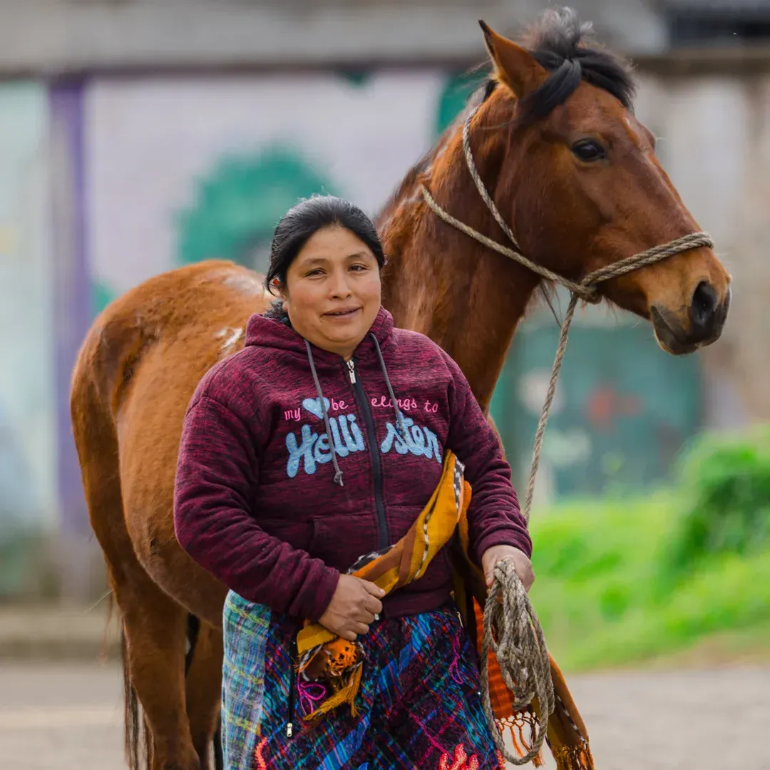 Woman in maroon hoodie stands with a brown horse, holding a colorful textile. Outdoor setting.