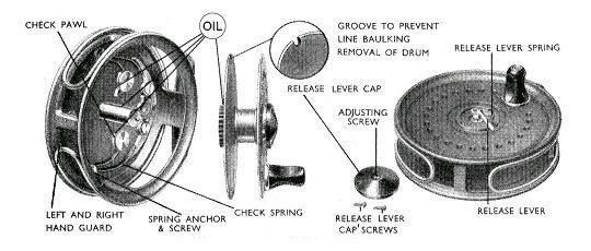 J.W. Young Beaudex Fly Reel | eBay