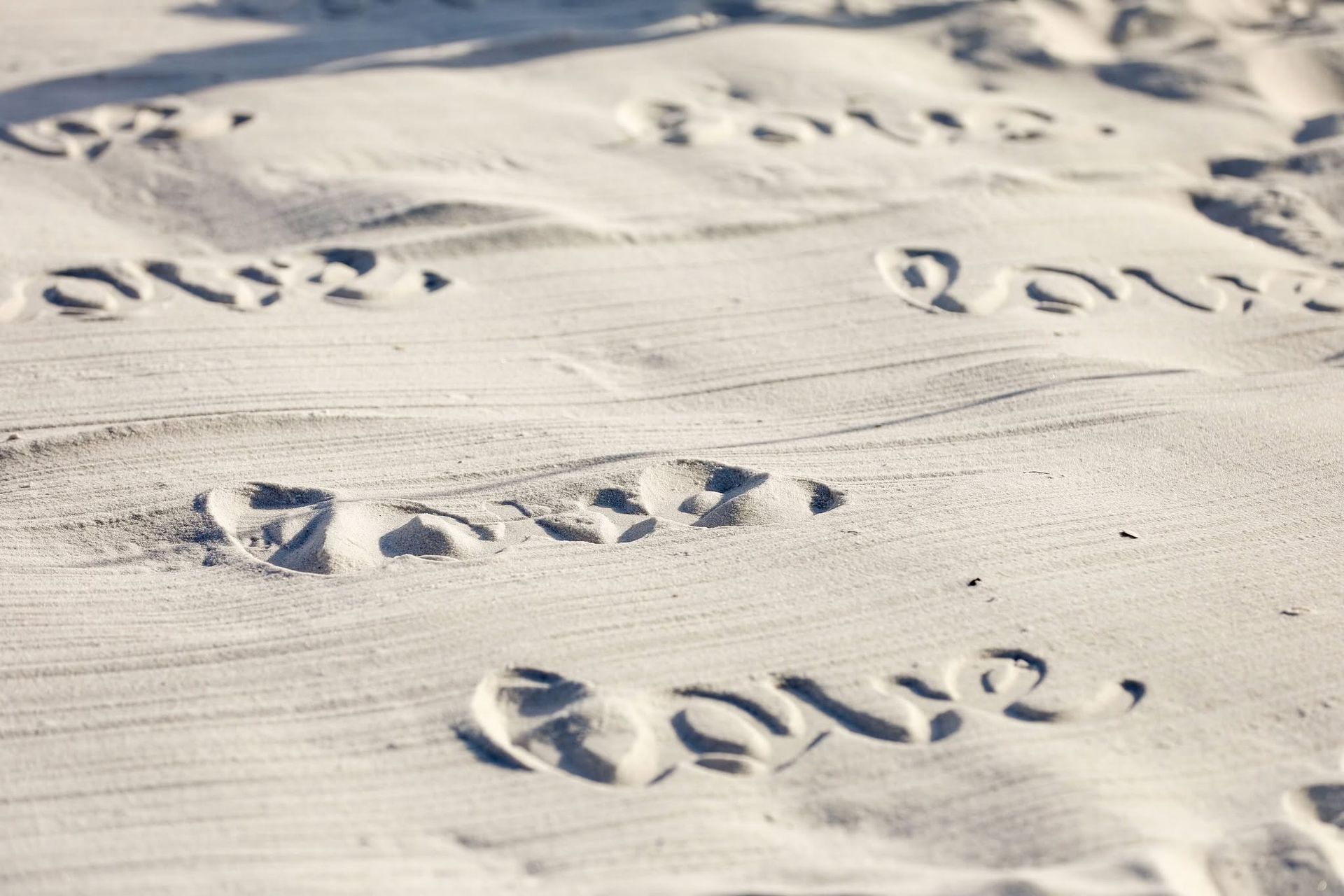 Footprints in snow with the date 2022 written beside them