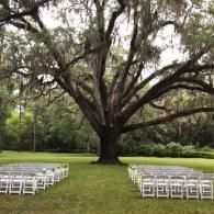 Outdoor wedding setup under a large tree with rows of white chairs on a grassy lawn