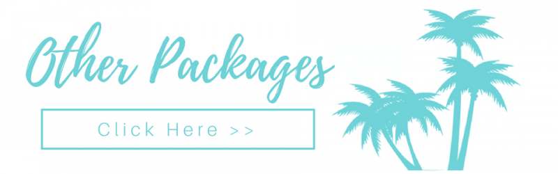 “Other Packages” banner with palm trees and a “Click Here >>” button on a white background
