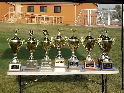 Row of gold trophies on a table in front of a soccer goal on a field