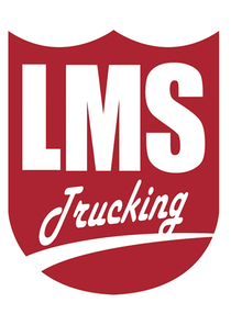 Logo with "LOREM" in bold, futuristic font, and "IPSUM" in smaller text below.
