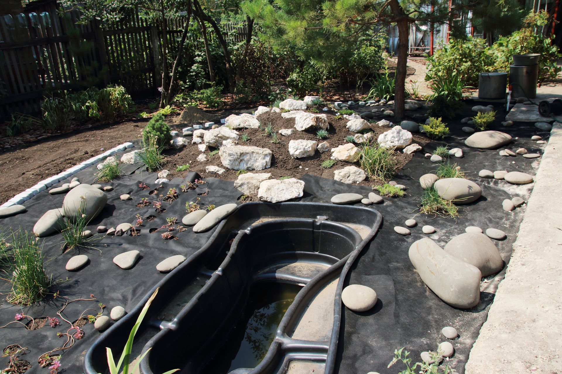 A small pond is surrounded by rocks and plants