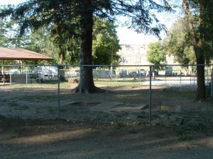 Horseshoe Pits