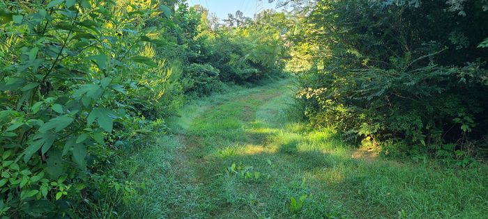 Land Development Memphis