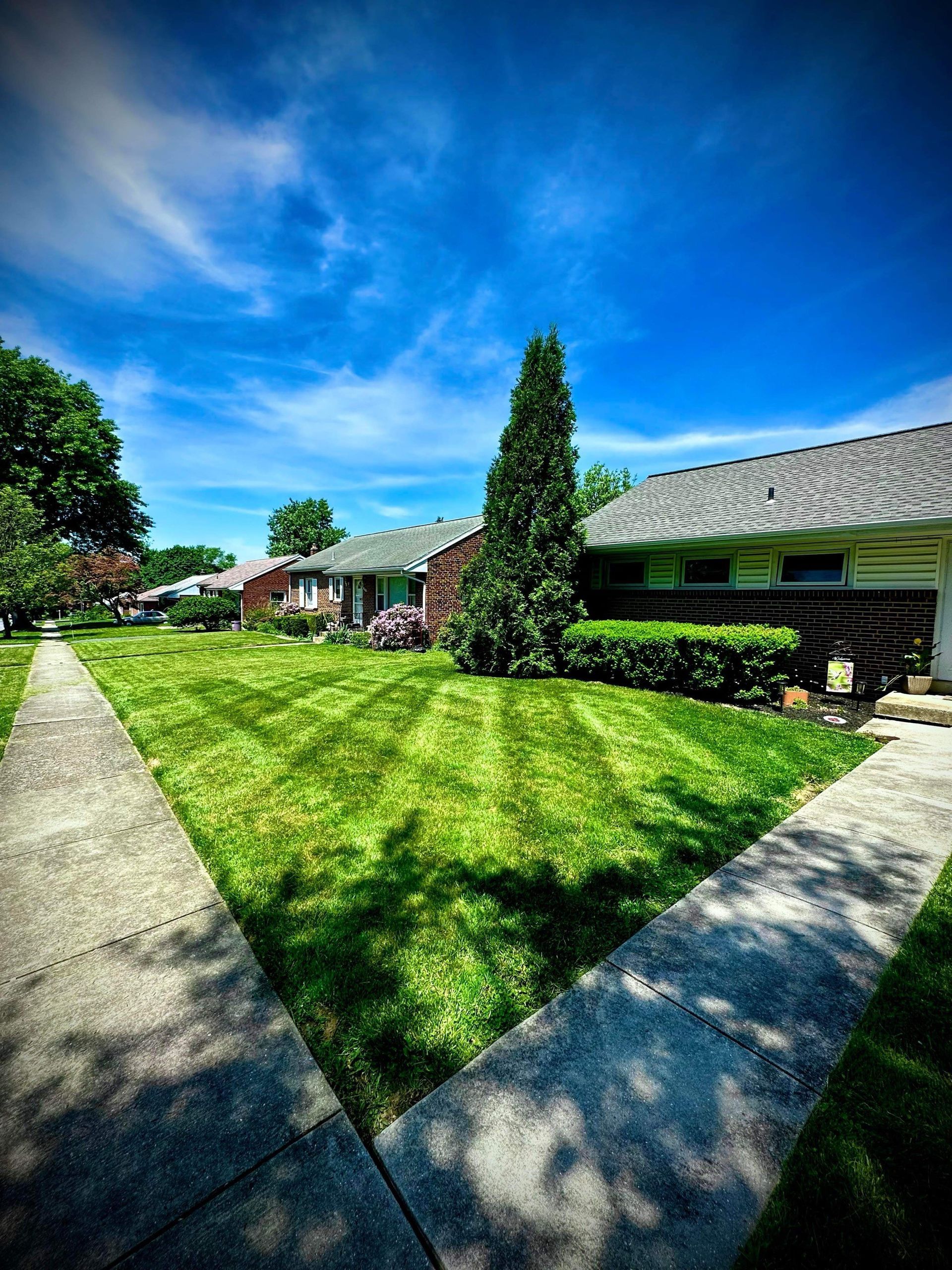 A man is rolling up rolls of turf on a lawn.