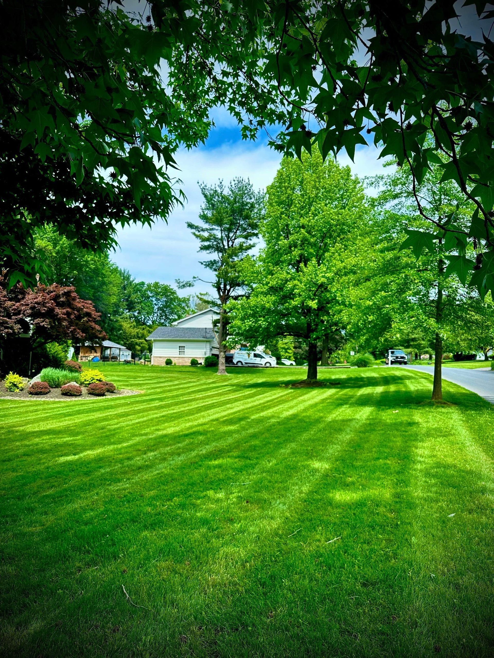 An aerial view of a man kneeling on the grass in a garden.