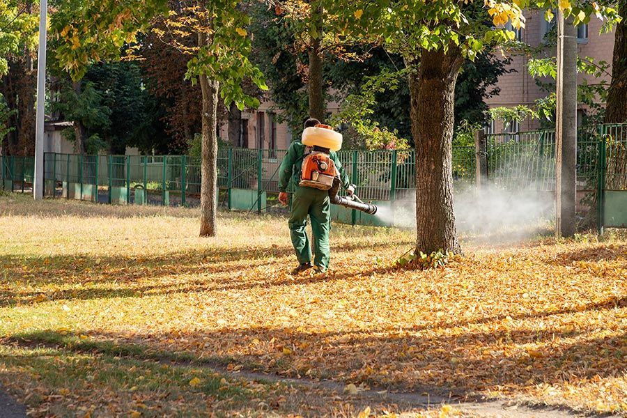 BIO-GREEN CONTROL ECOLÓGICO DE PLAGAS