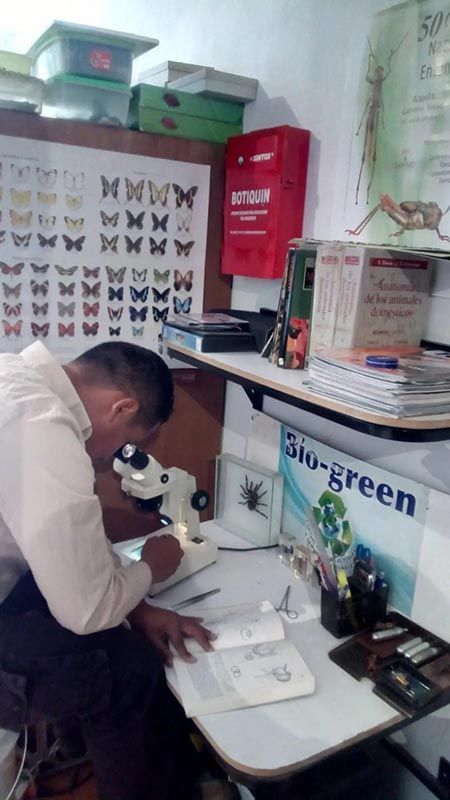 BIO-GREEN CONTROL ECOLÓGICO DE PLAGAS