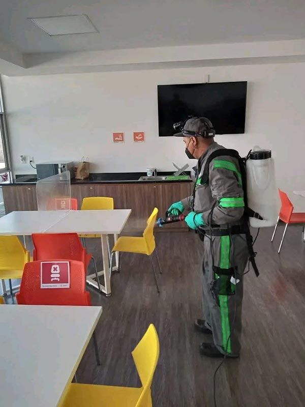 BIO-GREEN CONTROL ECOLÓGICO DE PLAGAS