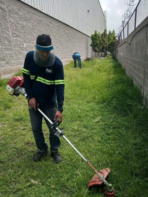 BIO-GREEN CONTROL ECOLÓGICO DE PLAGAS