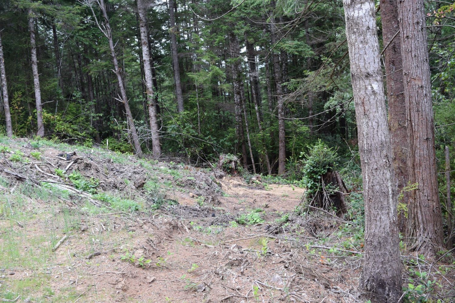 Land, Clearing, Site prep, excavation, trench, utility trench, septic, lateral lines, driveway