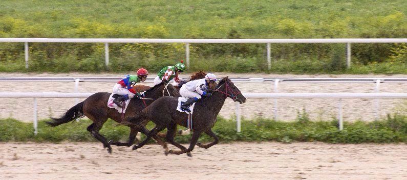 jockeys riding