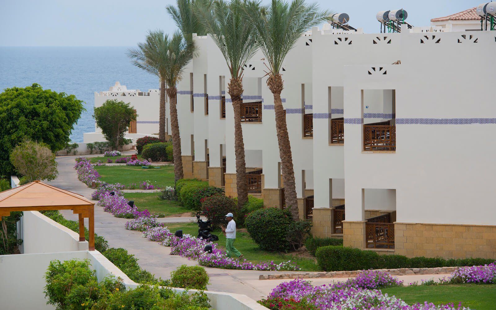 Resort buildings surrounded by green gardens and palm trees. 