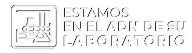 bernardo lew