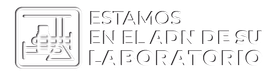 bernardo lew