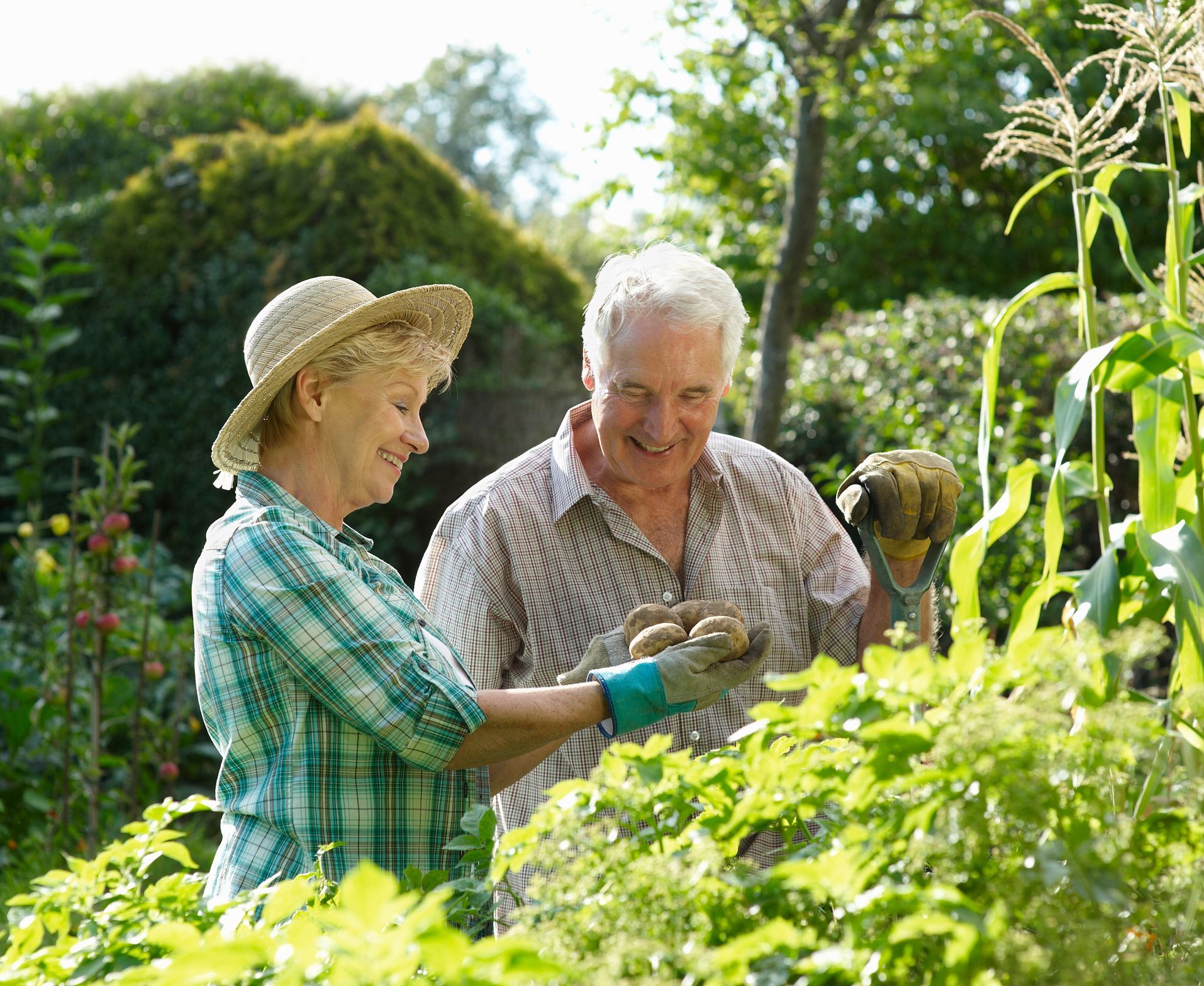 An elderly couple is working in a garden together.