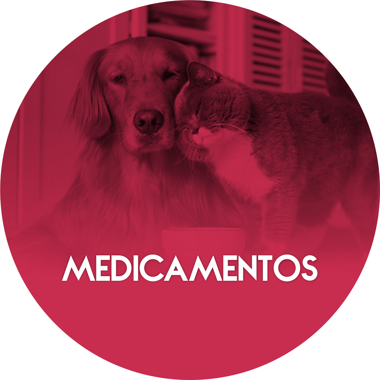 Um cachorro e um gato estão dentro de um círculo vermelho que diz medicamentos