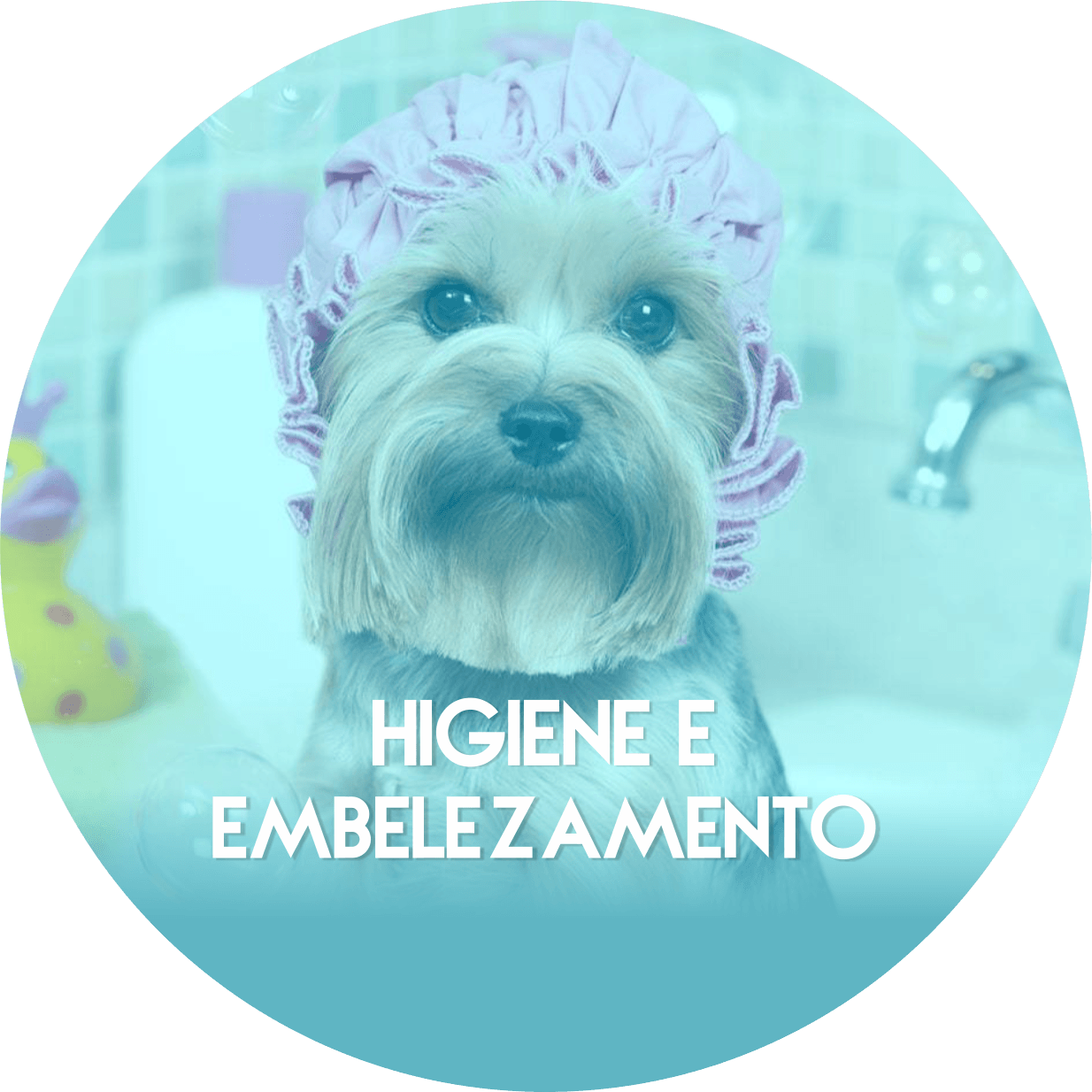 Um cachorrinho usando uma touca de banho está sentado em uma banheira.