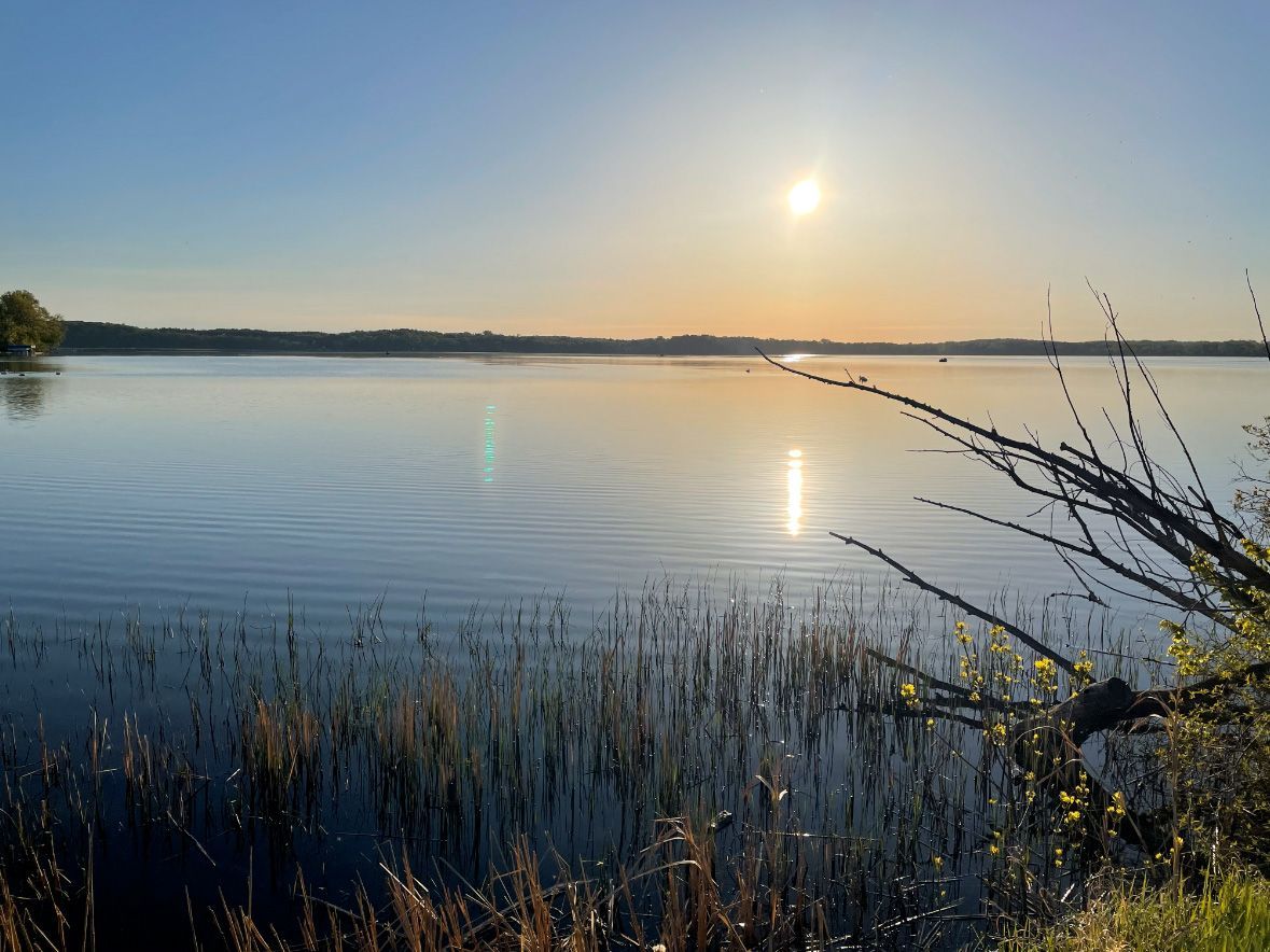 Lake Independence in Maple Plain at sunset with rippling water, sun reflecting, branches in foreground.
