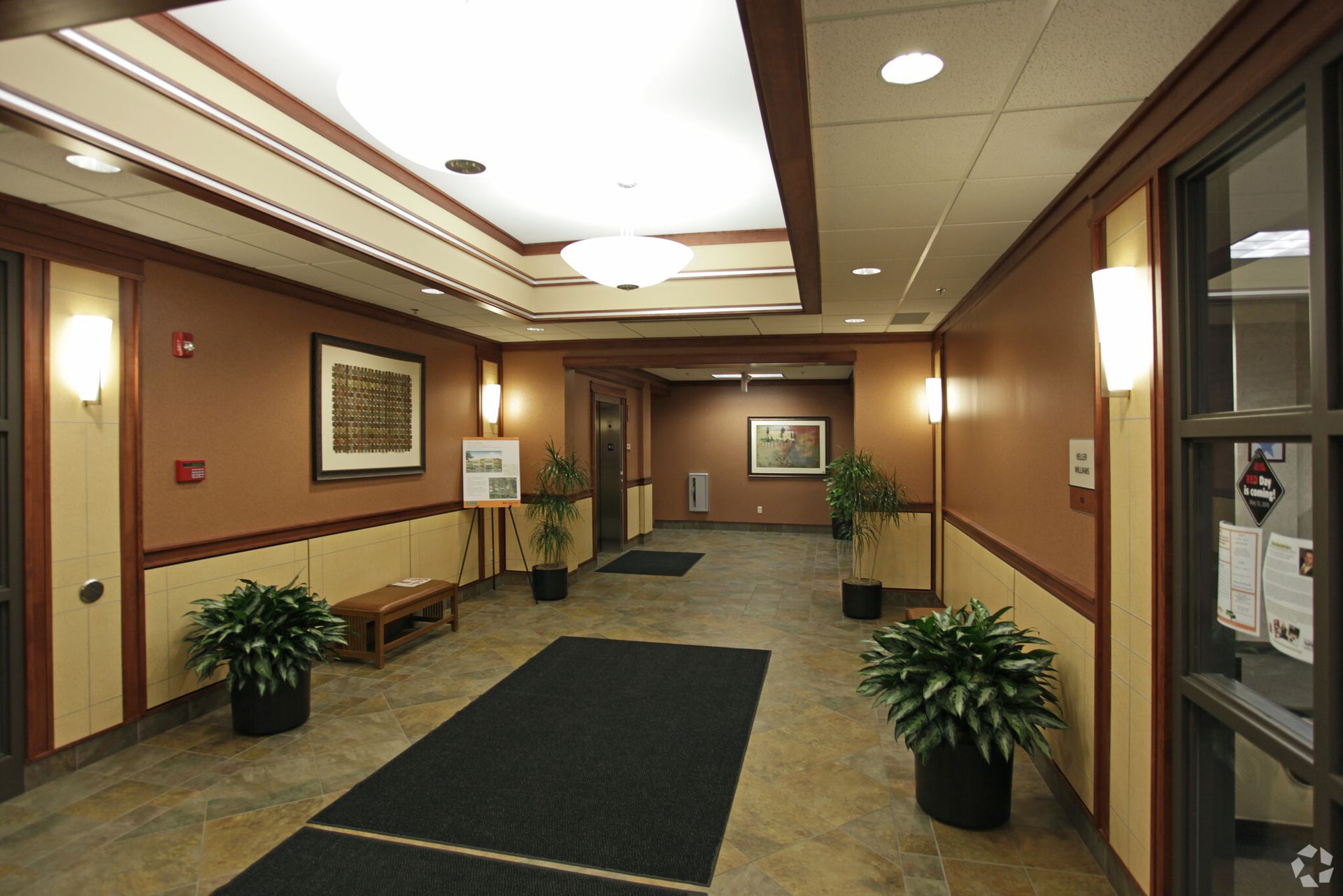 Hallway with dark brown walls, cream ceiling, and potted plants; a dark rug leads to a doorway.