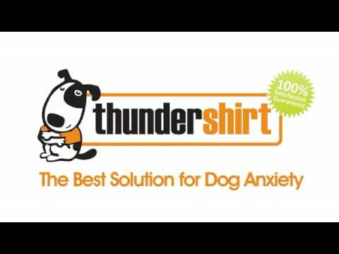 thunder shirt logo