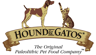 hound-gatos-logo
