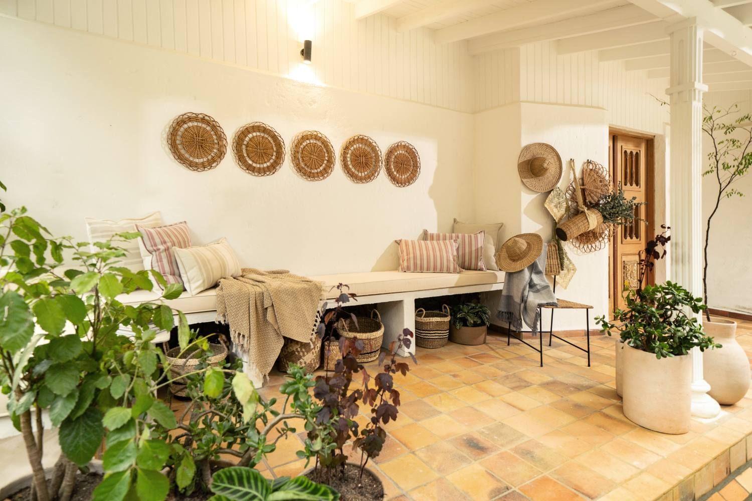 A living room with a couch and potted plants.