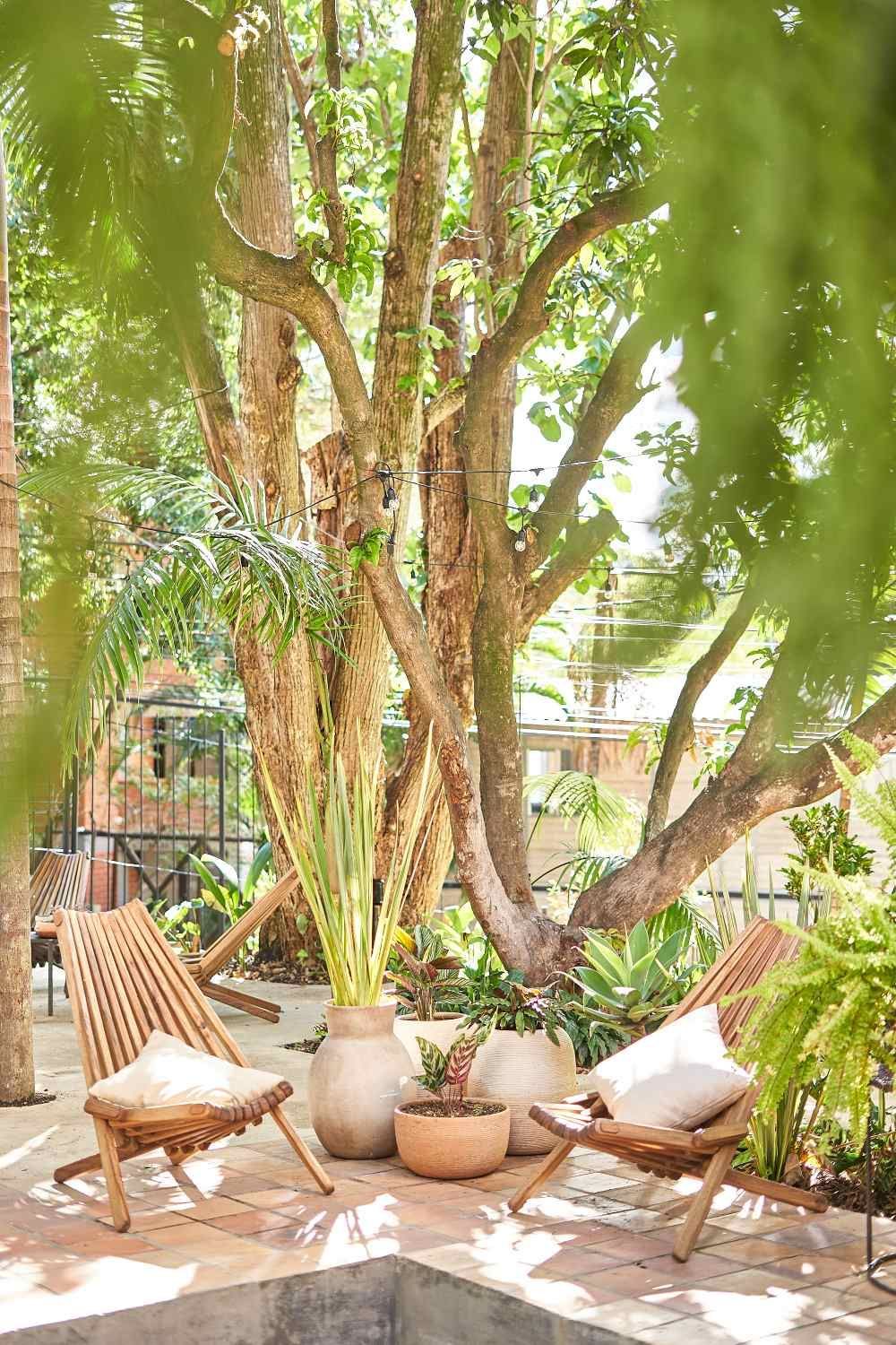 A patio with chairs and potted plants under a tree.