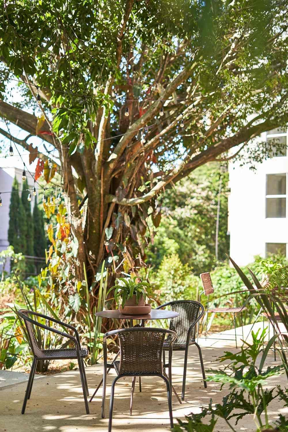 A patio with a table and chairs under a tree.