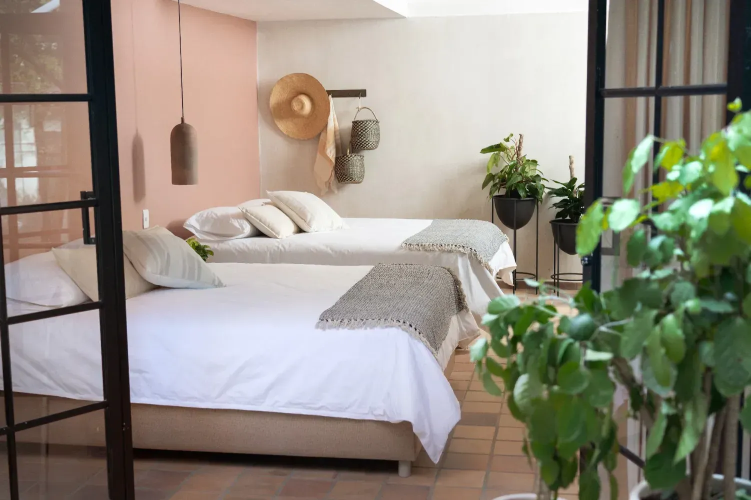 A bedroom with two beds and a potted plant.