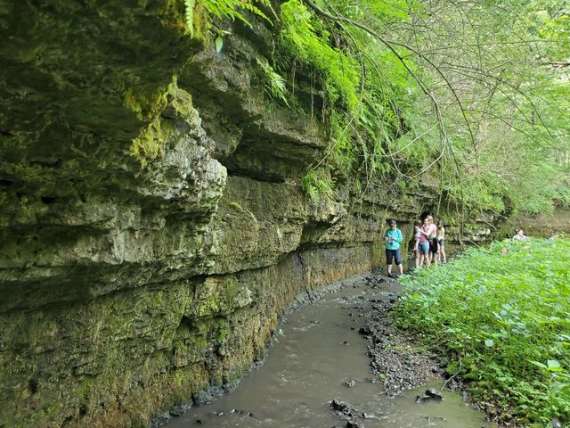Severson Dells Nature Preserve